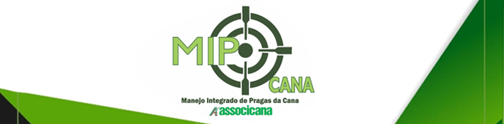 projeto-mip