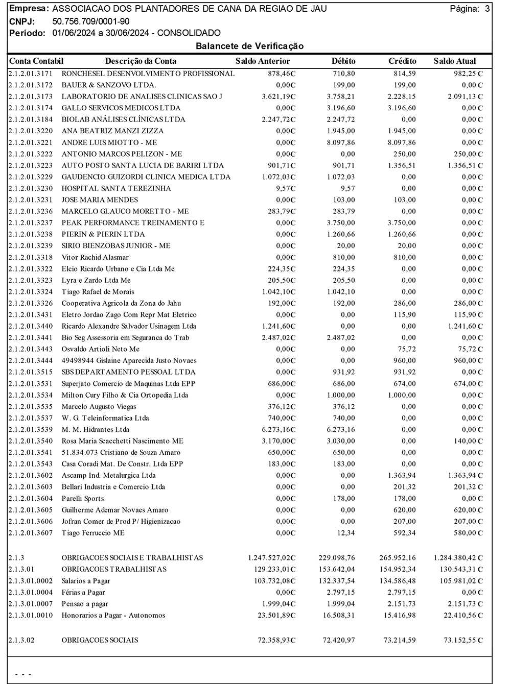 balancete-06-2024-associcna-3