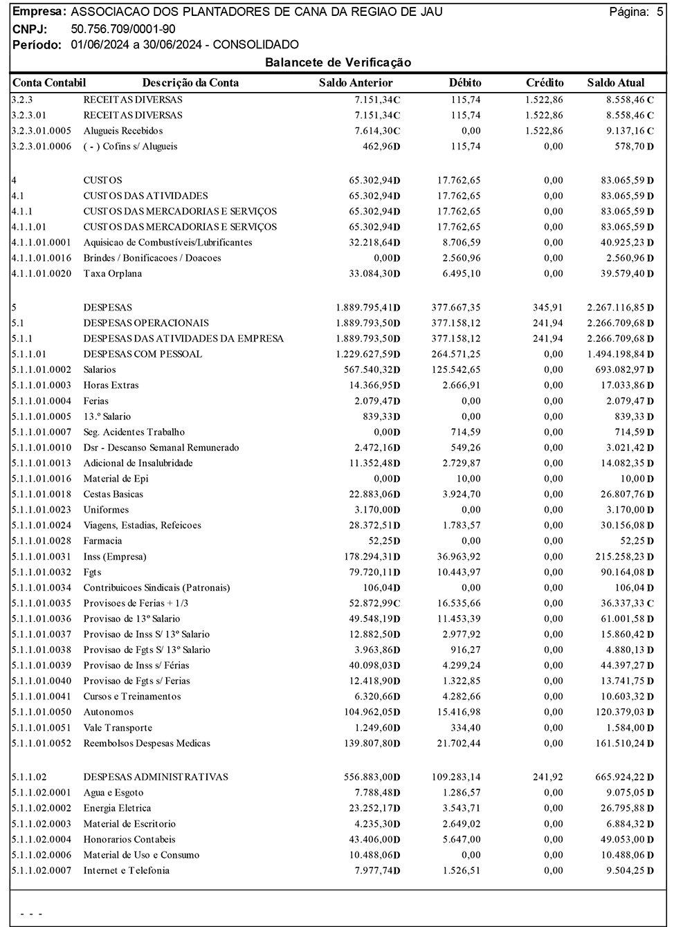 balancete-06-2024-associcna-5