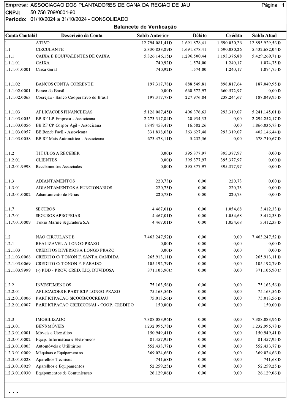 balancete-associcana-10-2024-1